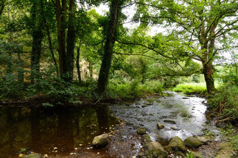 ©Emmanuel Lemée-LBST - Les rives du Scorff